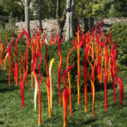 Collectors Trip Nashville